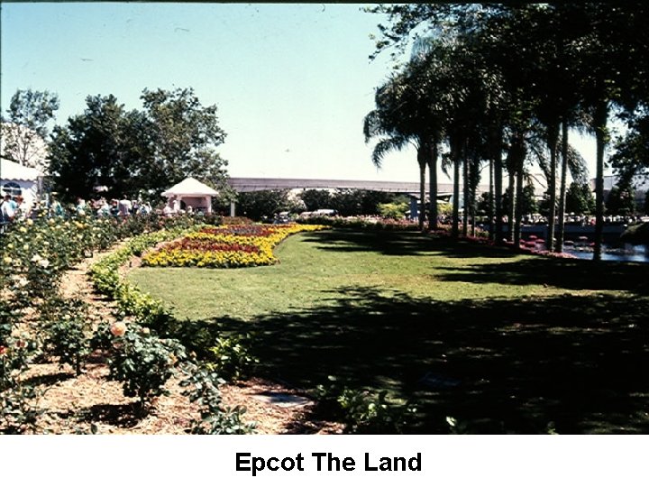 Epcot The Land 