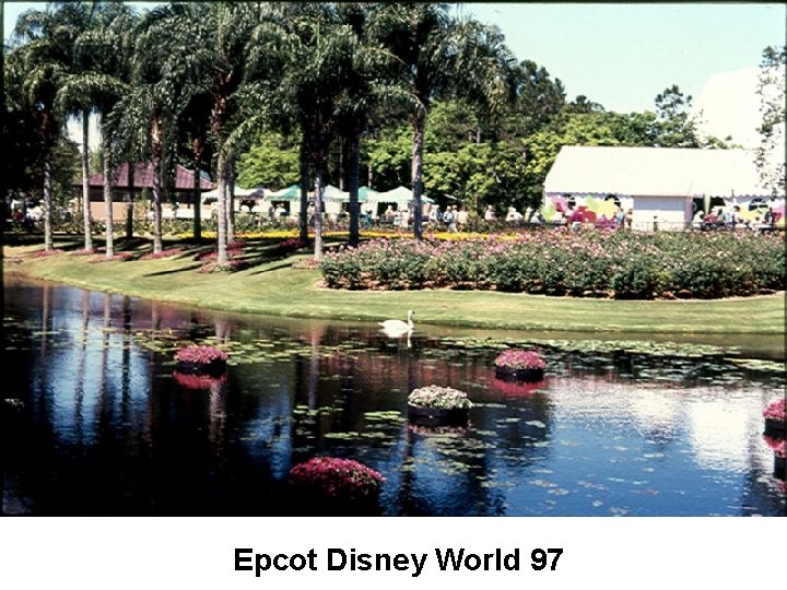 Epcot Disney World 97 