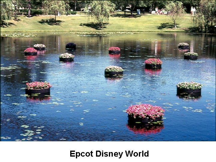 Epcot Disney World 