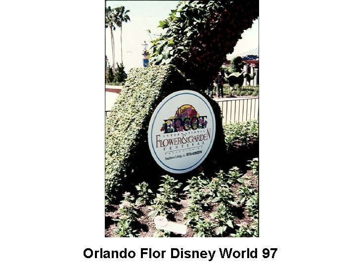 Orlando Flor Disney World 97 