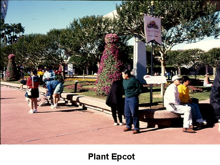 Plant Epcot 