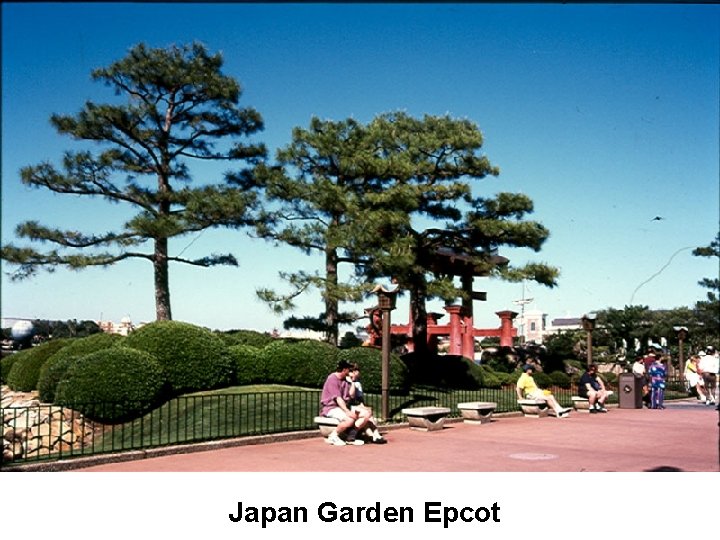 Japan Garden Epcot 