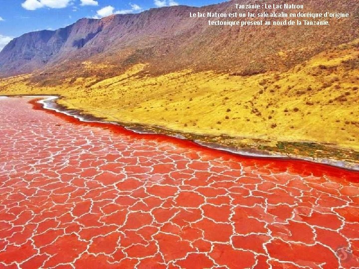 Tanzanie : Le Lac Natron Le lac Natron est un lac salé alcalin endoréique