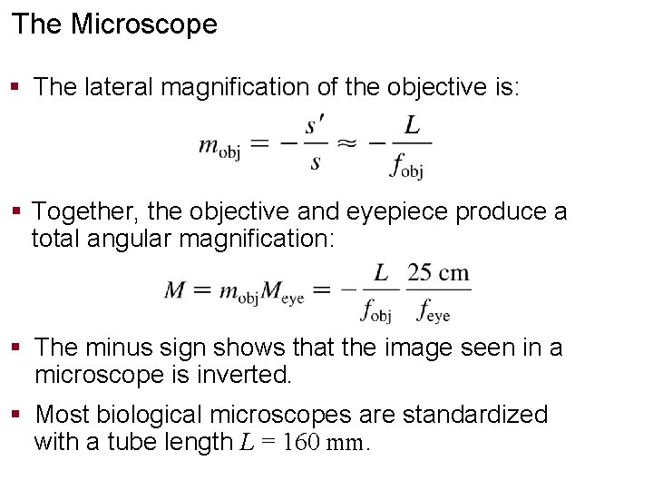 The Microscope § The lateral magnification of the objective is: § Together, the objective