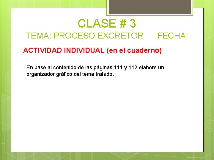 CLASE # 3 TEMA: PROCESO EXCRETOR FECHA: ACTIVIDAD INDIVIDUAL (en el cuaderno) En base