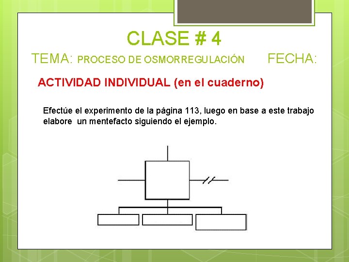 CLASE # 4 TEMA: PROCESO DE OSMORREGULACIÓN FECHA: ACTIVIDAD INDIVIDUAL (en el cuaderno) Efectúe