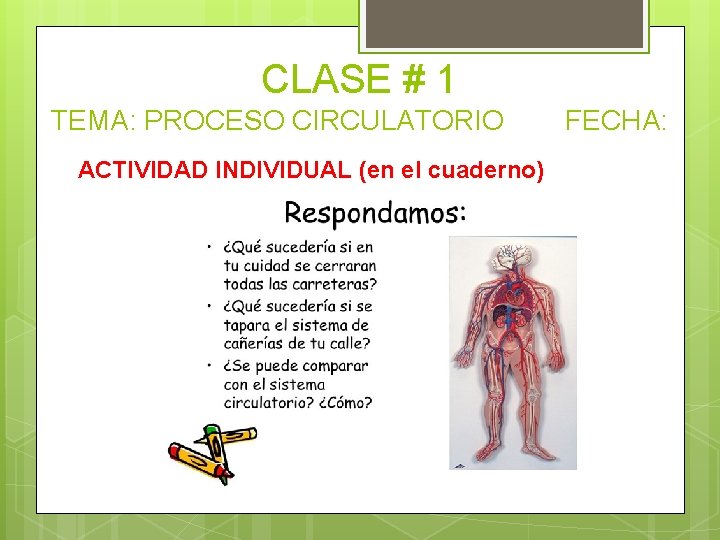 CLASE # 1 TEMA: PROCESO CIRCULATORIO ACTIVIDAD INDIVIDUAL (en el cuaderno) FECHA: 