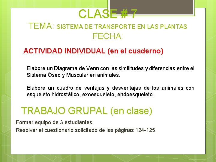 CLASE # 7 TEMA: SISTEMA DE TRANSPORTE EN LAS PLANTAS FECHA: ACTIVIDAD INDIVIDUAL (en