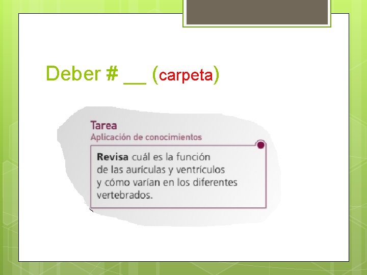 Deber # __ (carpeta) 