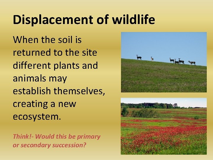 Displacement of wildlife When the soil is returned to the site different plants and Displacement of wildlife When the soil is returned to the site different plants and