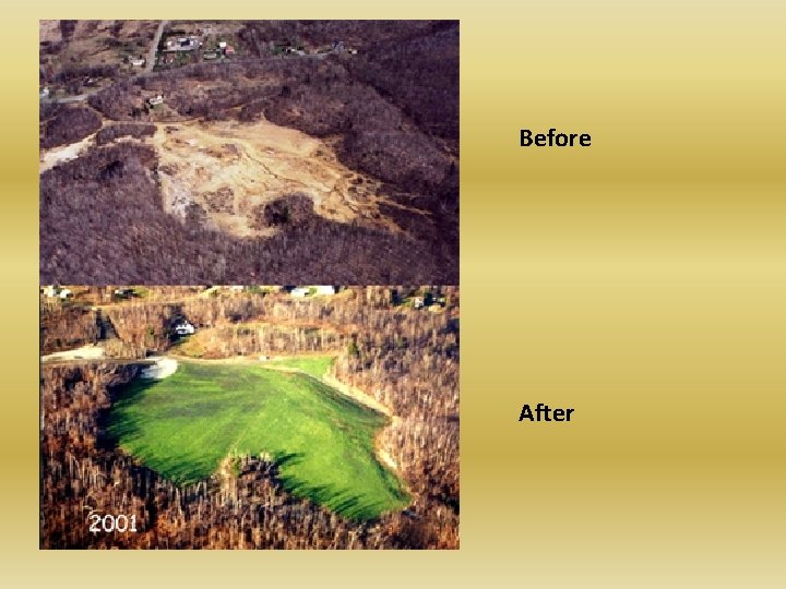 Before After Before After