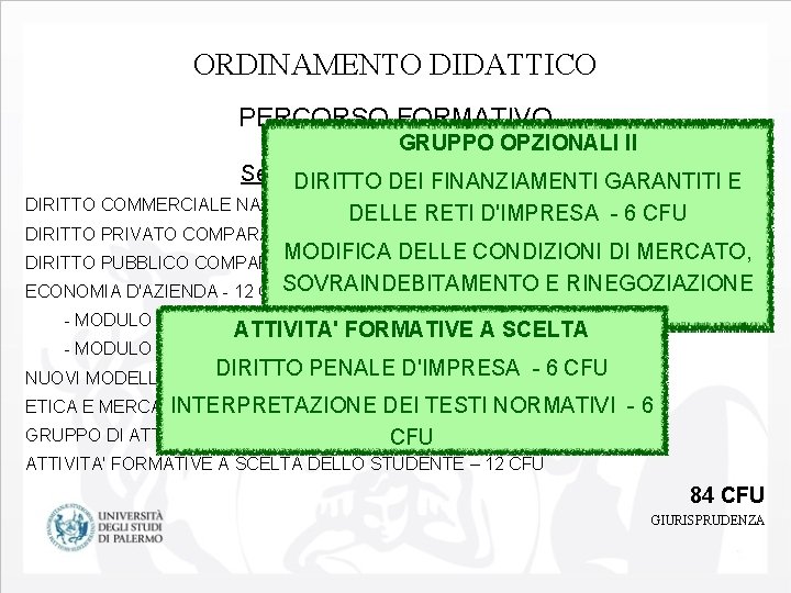 ORDINAMENTO DIDATTICO PERCORSO FORMATIVO GRUPPO OPZIONALI II Secondo anno (a. a. 2017/2018) DIRITTO DEI