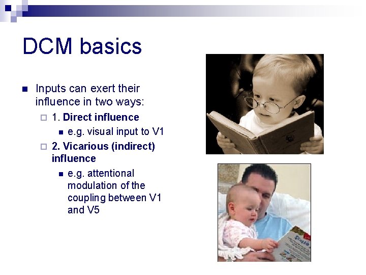DCM basics n Inputs can exert their influence in two ways: 1. Direct influence