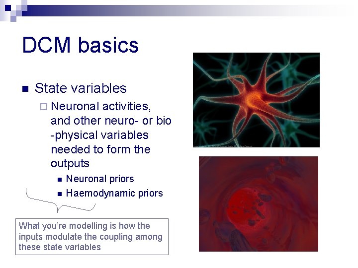 DCM basics n State variables ¨ Neuronal activities, and other neuro- or bio -physical