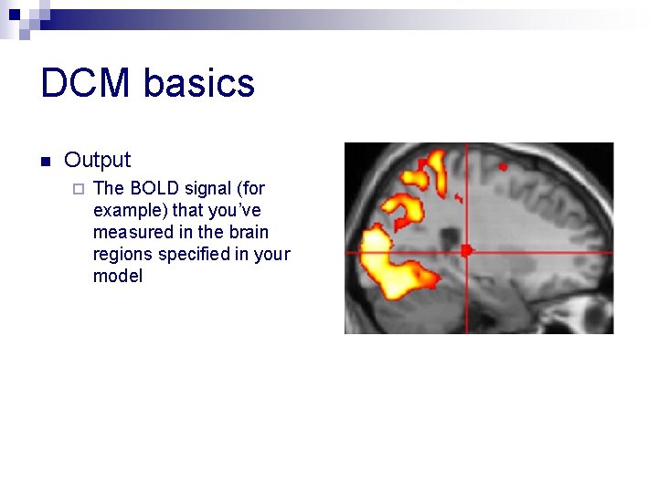 DCM basics n Output ¨ The BOLD signal (for example) that you’ve measured in