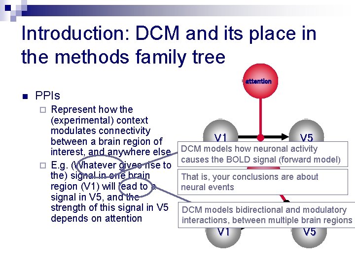 Introduction: DCM and its place in the methods family tree attention n PPIs Represent