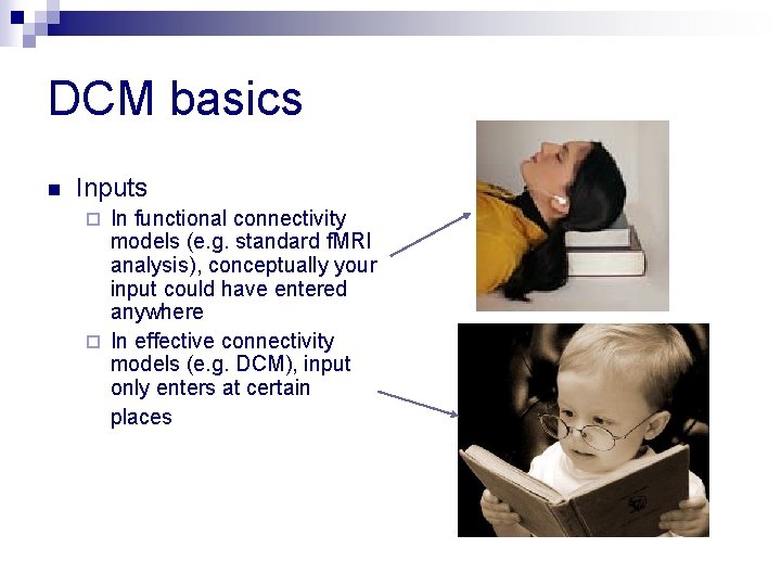 DCM basics n Inputs In functional connectivity models (e. g. standard f. MRI analysis),