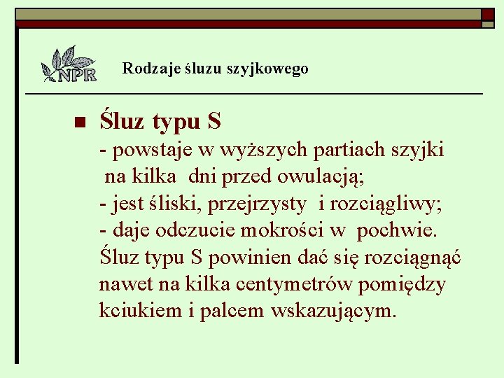 Rodzaje śluzu szyjkowego n Śluz typu S - powstaje w wyższych partiach szyjki na