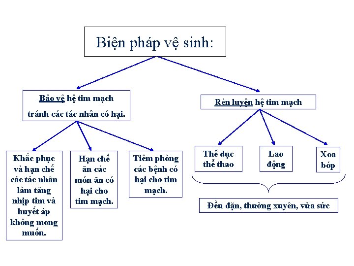 Biện pháp vệ sinh: Bảo vệ hệ tim mạch Rèn luyện hệ tim mạch