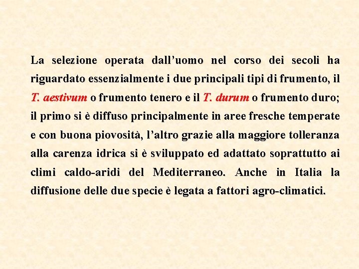 La selezione operata dall’uomo nel corso dei secoli ha riguardato essenzialmente i due principali