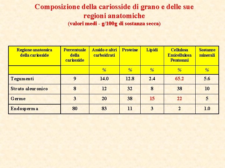 Composizione della cariosside di grano e delle sue regioni anatomiche (valori medi - g/100