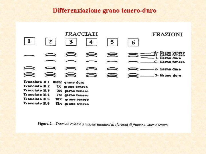 Differenziazione grano tenero-duro 