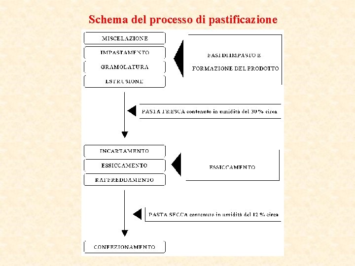 Schema del processo di pastificazione 