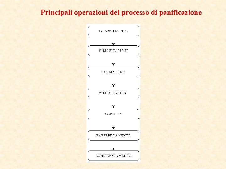 Principali operazioni del processo di panificazione 