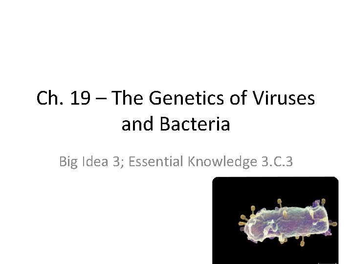 Ch. 19 – The Genetics of Viruses and Bacteria Big Idea 3; Essential Knowledge