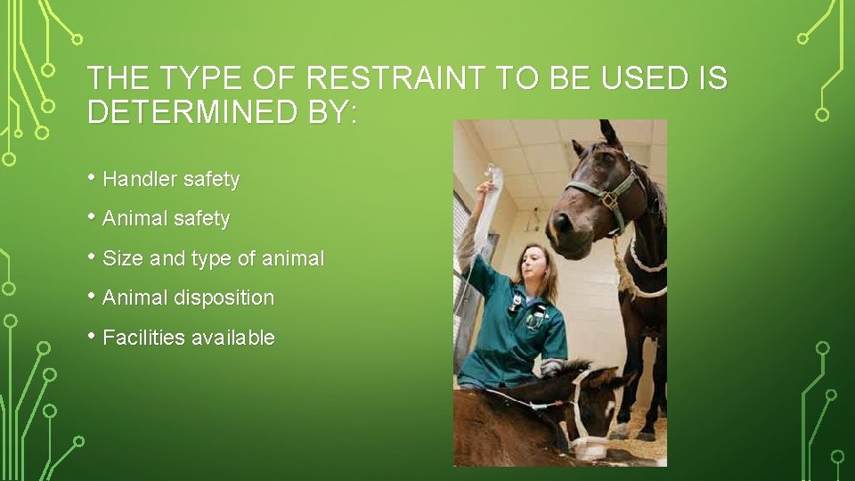 THE TYPE OF RESTRAINT TO BE USED IS DETERMINED BY: • Handler safety •