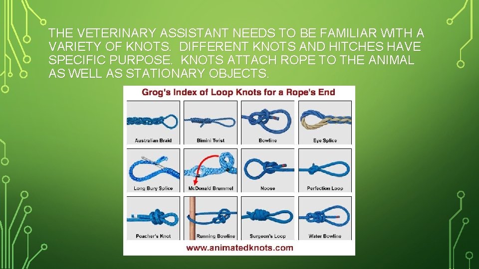 THE VETERINARY ASSISTANT NEEDS TO BE FAMILIAR WITH A VARIETY OF KNOTS. DIFFERENT KNOTS