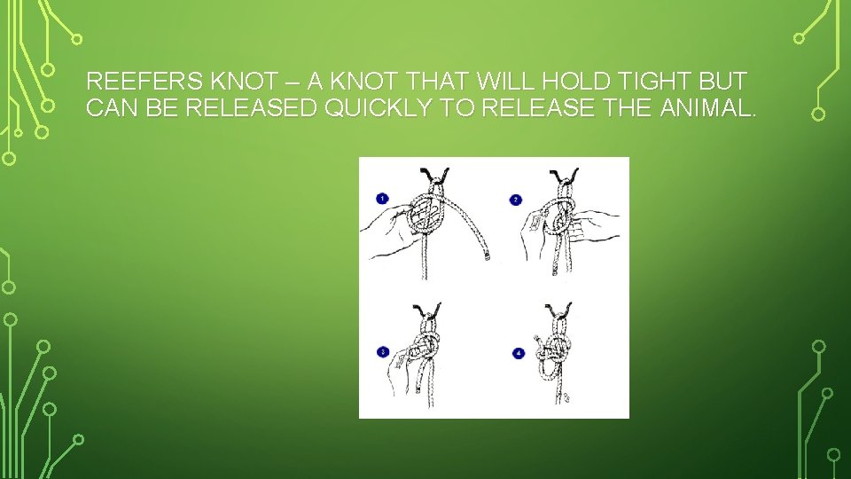 REEFERS KNOT – A KNOT THAT WILL HOLD TIGHT BUT CAN BE RELEASED QUICKLY