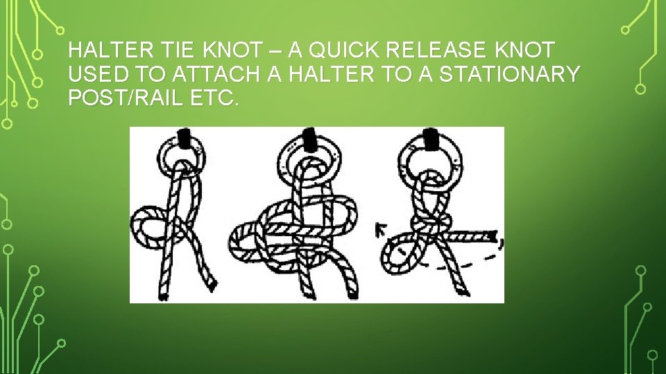 HALTER TIE KNOT – A QUICK RELEASE KNOT USED TO ATTACH A HALTER TO