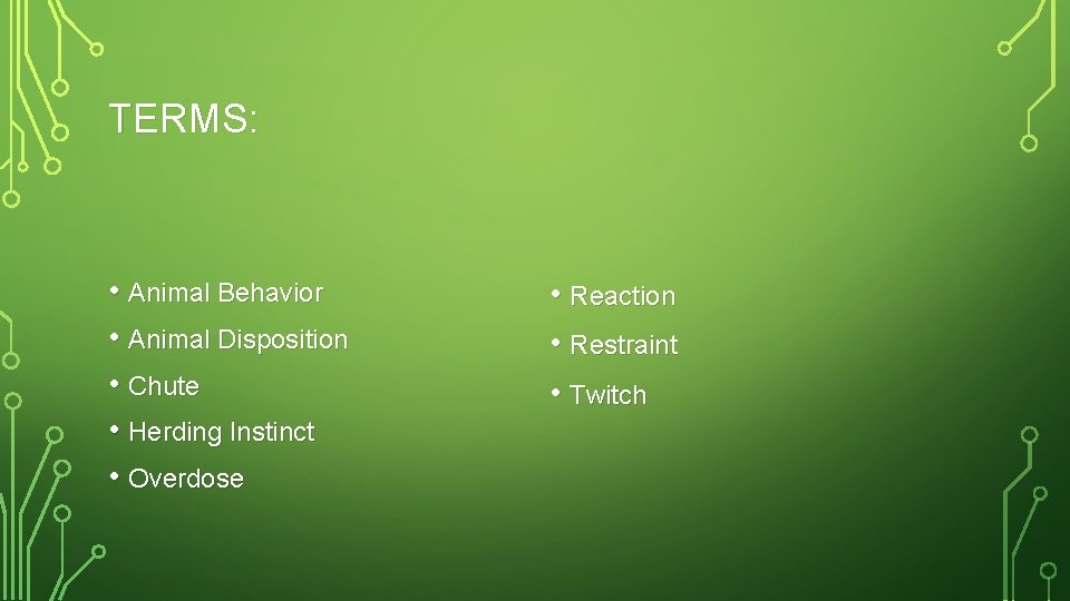 TERMS: • Animal Behavior • Animal Disposition • Chute • Herding Instinct • Overdose