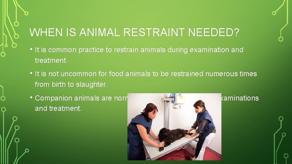 WHEN IS ANIMAL RESTRAINT NEEDED? • It is common practice to restrain animals during