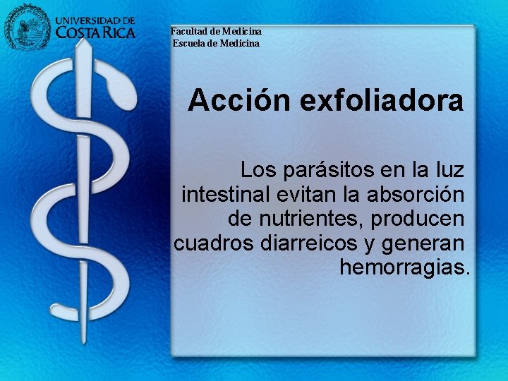 Facultad de Medicina Escuela de Medicina Acción exfoliadora Los parásitos en la luz intestinal