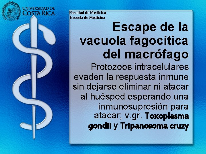 Facultad de Medicina Escuela de Medicina Escape de la vacuola fagocítica del macrófago Protozoos