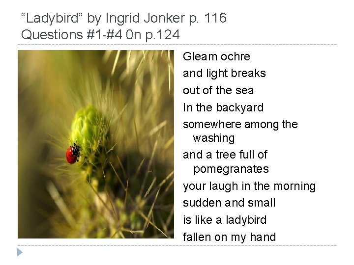 “Ladybird” by Ingrid Jonker p. 116 Questions #1 -#4 0 n p. 124 Gleam