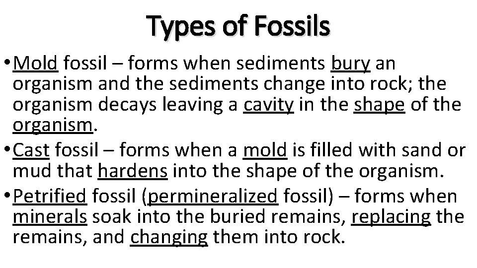 Types of Fossils • Mold fossil – forms when sediments bury an organism and