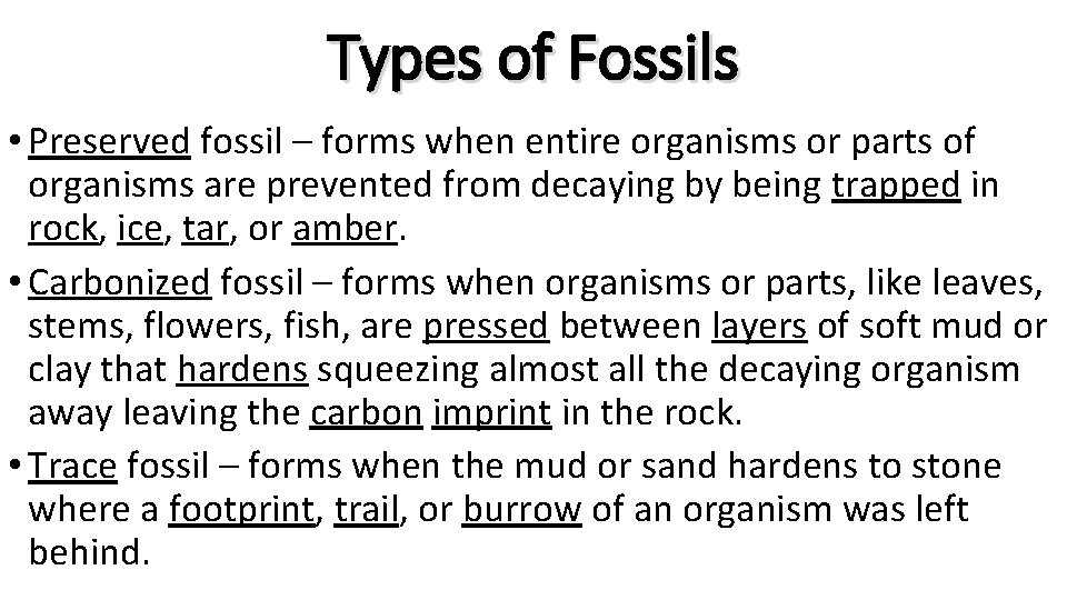 Types of Fossils • Preserved fossil – forms when entire organisms or parts of