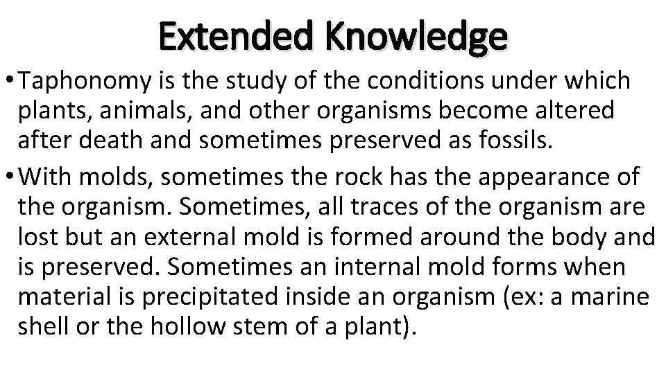 Extended Knowledge • Taphonomy is the study of the conditions under which plants, animals,