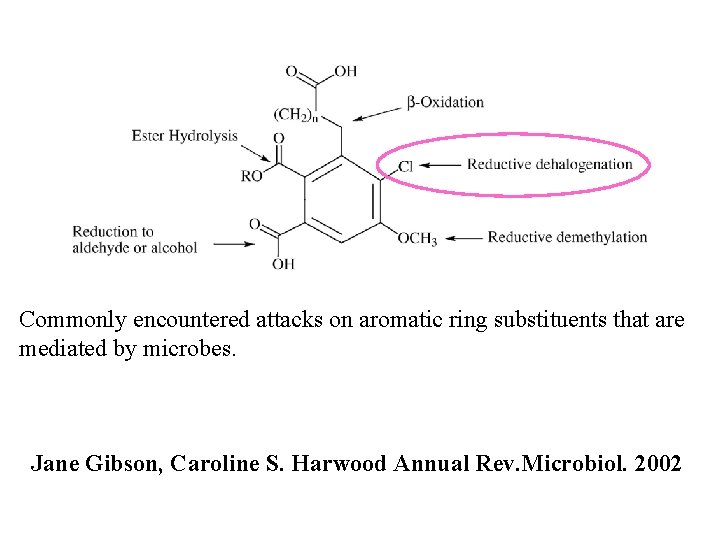 Commonly encountered attacks on aromatic ring substituents that are mediated by microbes. Jane Gibson,