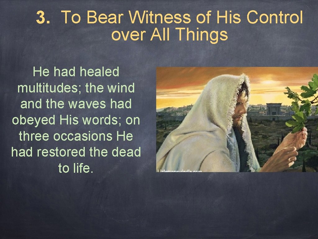 3. To Bear Witness of His Control over All Things He had healed multitudes;