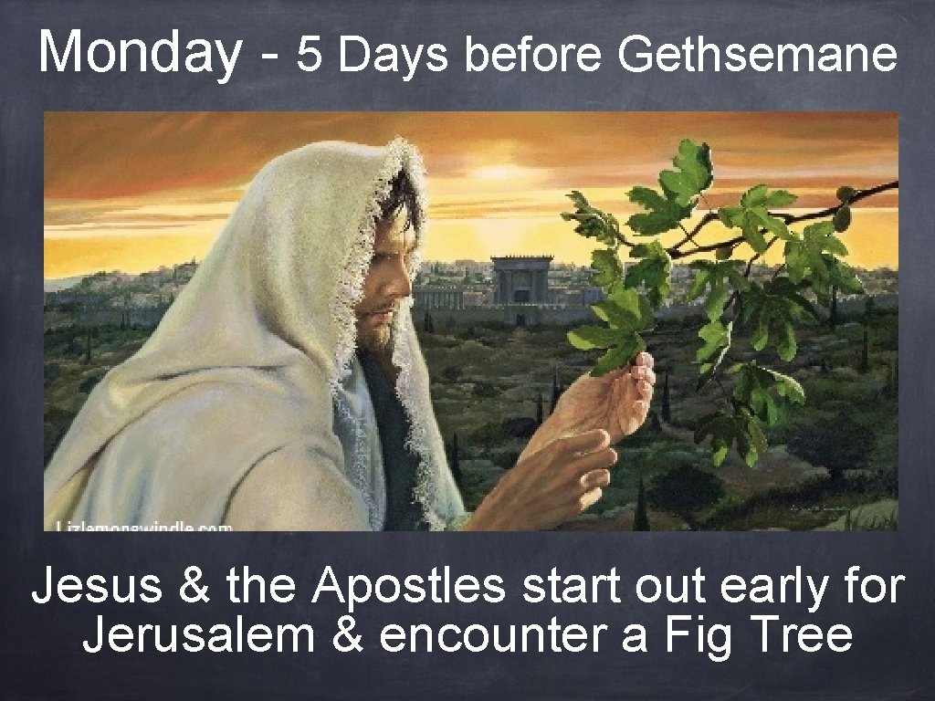 Monday - 5 Days before Gethsemane Jesus & the Apostles start out early for