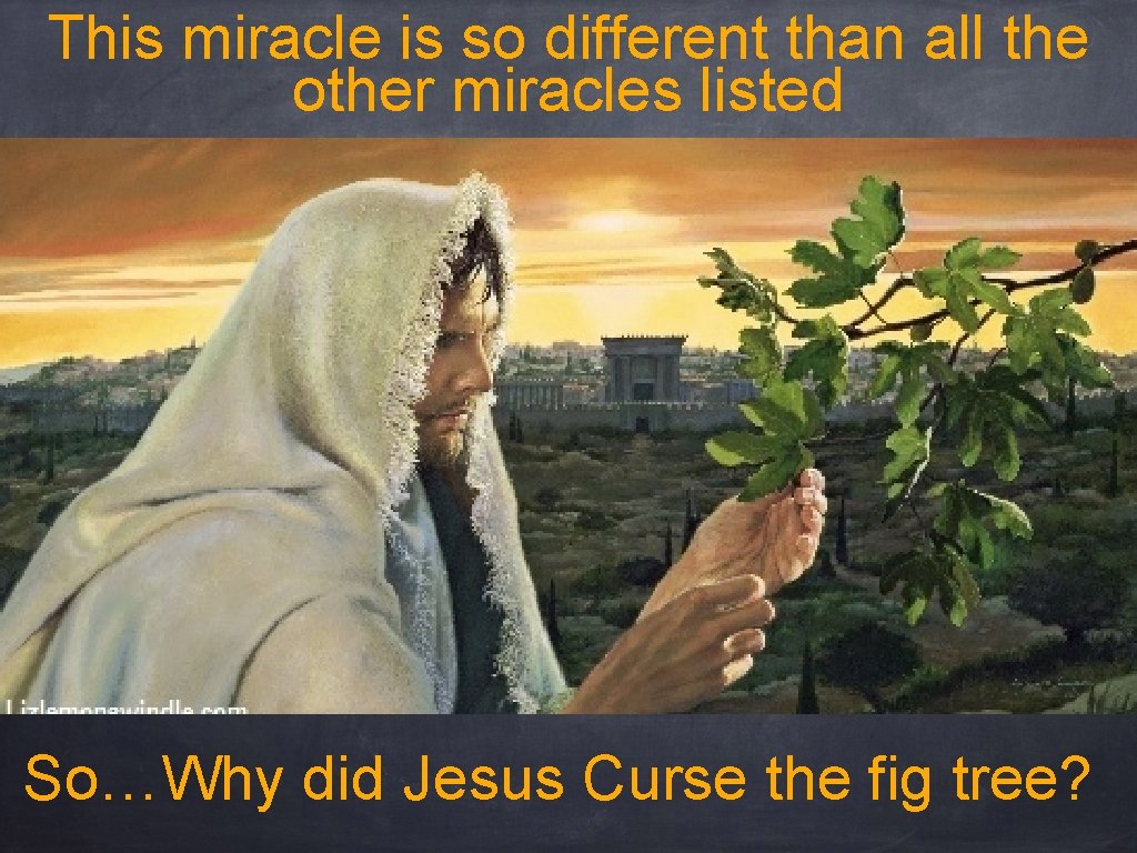 This miracle is so different than all the other miracles listed So…Why did Jesus