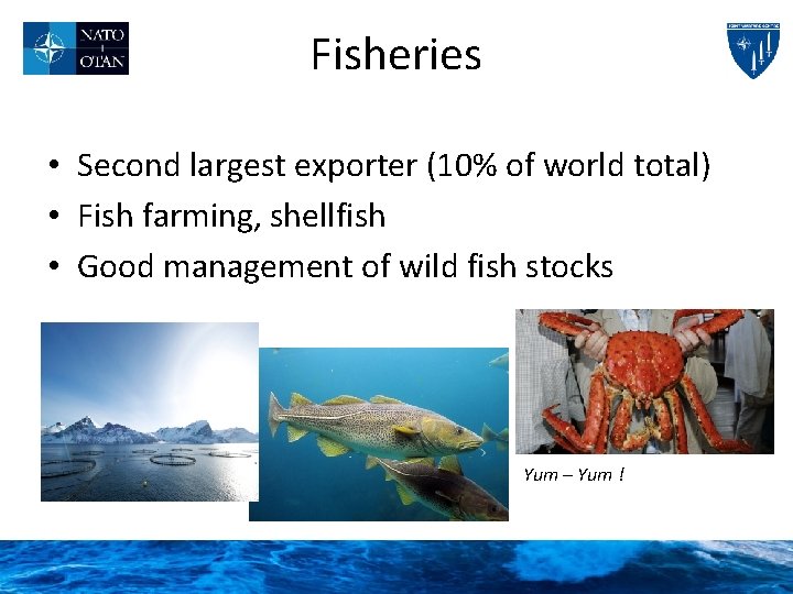 Fisheries • Second largest exporter (10% of world total) • Fish farming, shellfish •