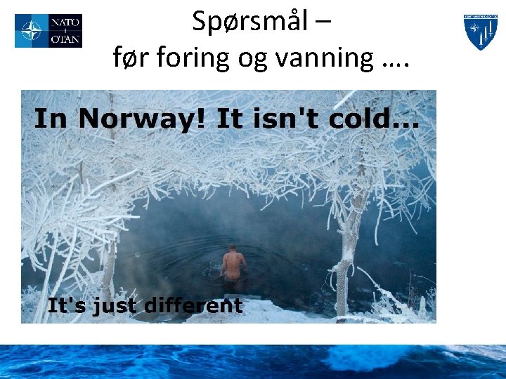 Spørsmål – før foring og vanning …. 