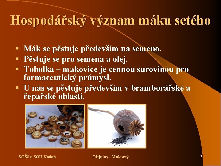 Hospodářský význam máku setého § Mák se pěstuje především na semeno. § Pěstuje se