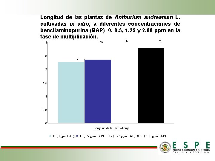 Longitud de las plantas de Anthurium andreanum L. cultivadas in vitro, a diferentes concentraciones