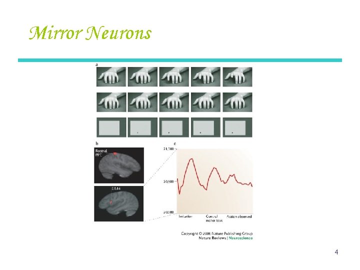 Mirror Neurons 4 